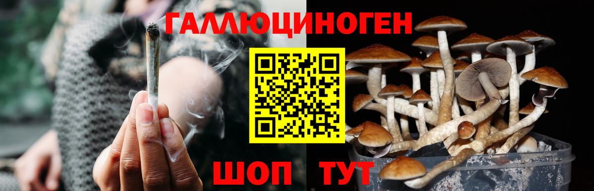 Ртищево  Псилоцибиновые грибы мицелий  Вход с VPN 